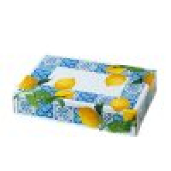 Desserbox Amalfi Look 23 x 16 x 5 cm Zitronen