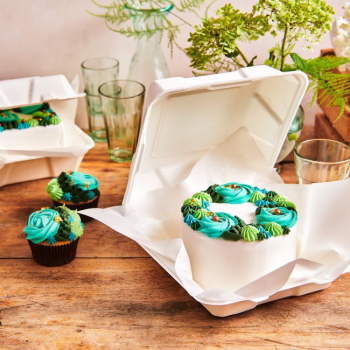 Bentobox 10er Pack 15 x 15 cm