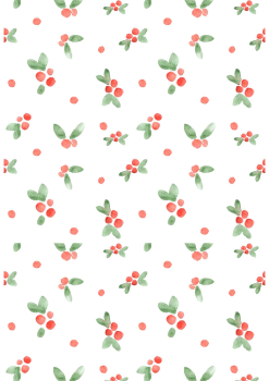 Schoko Transferfolie A4 - Weihnachten Misteln