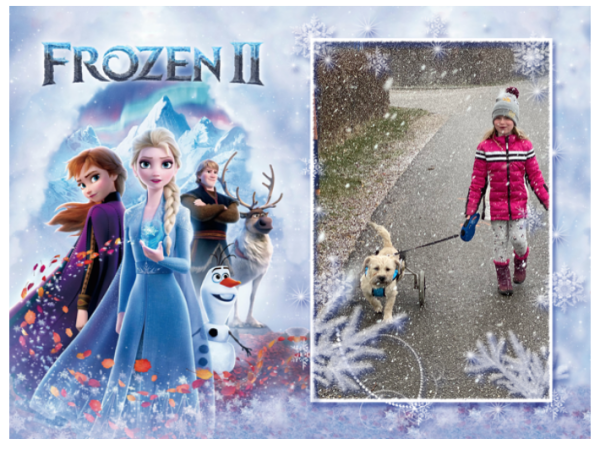 Ausdruck "Frozen II" mit deinem Wunschbild