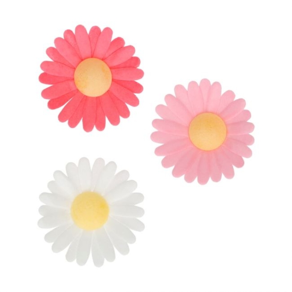 Funcakes Wafer Paper Daisy 13 Stk.